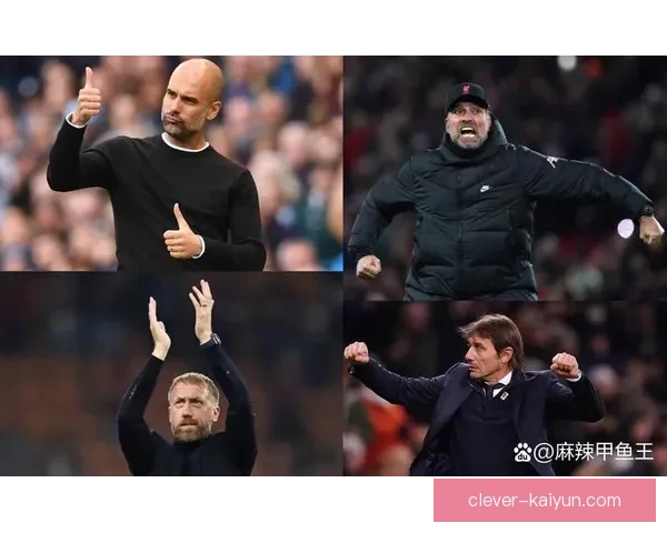 热刺球队结构研究：持续提升球队竞争力与表现分析