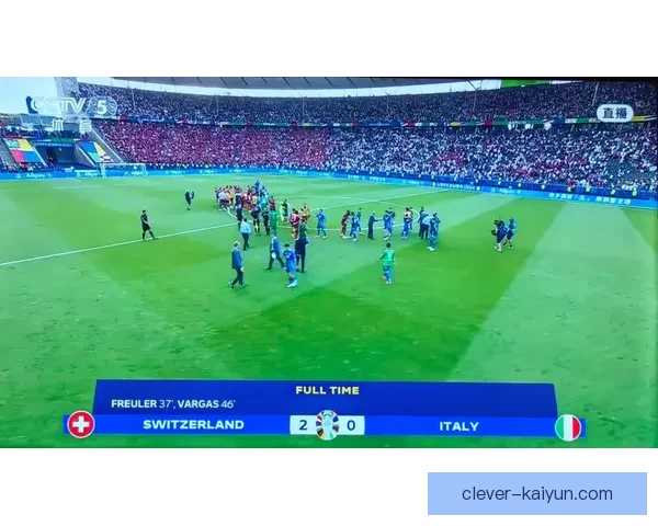 欧洲杯意大利卫冕失败 无缘淘汰赛阶段